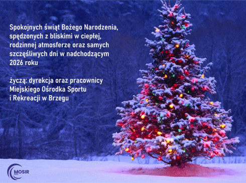 Spokojnych świąt, szczęśliwego nowego roku